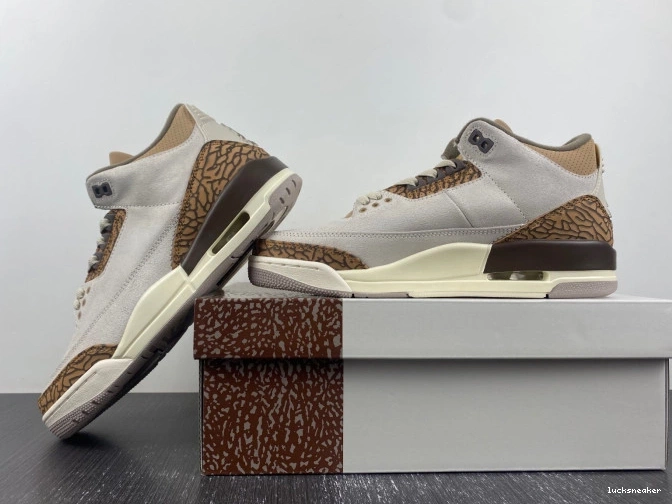 Rep LUCY 3 Air Palomino Jordan CT8532-102 0816